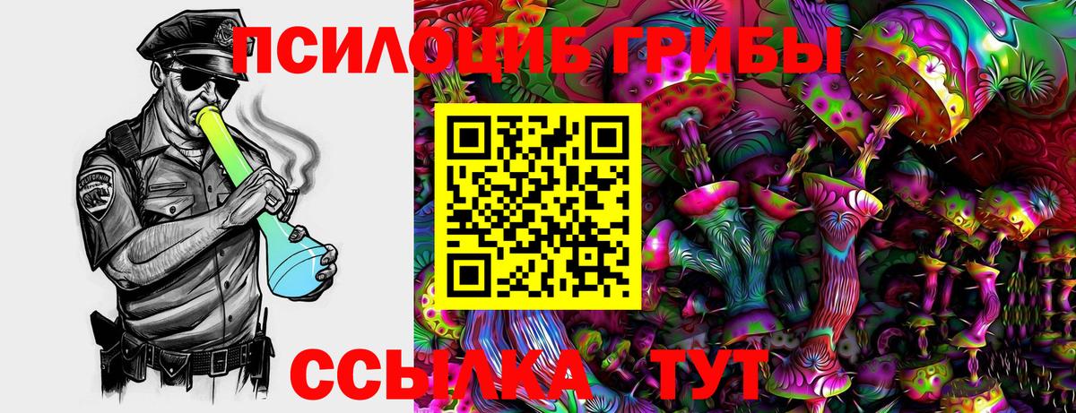 Ачхой-Мартан  Псилоцибиновые грибы прущие грибы  Вход с VPN 