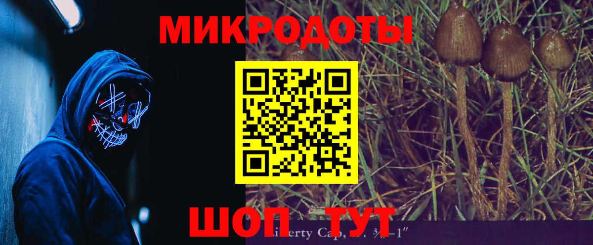 Галлюциногенные грибы прущие грибы Ачхой-Мартан