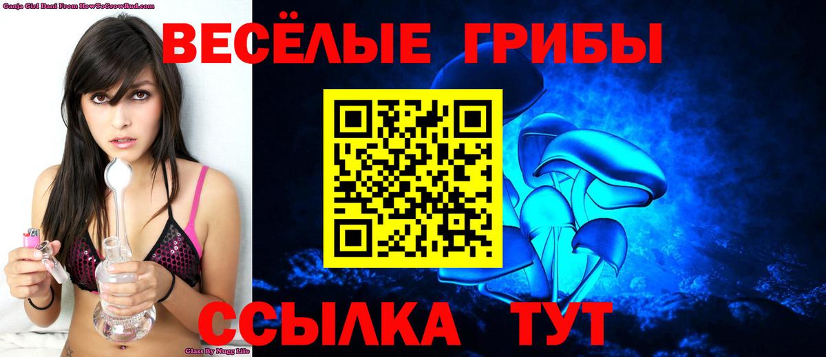 Псилоцибиновые грибы GOLDEN TEACHER Ачхой-Мартан