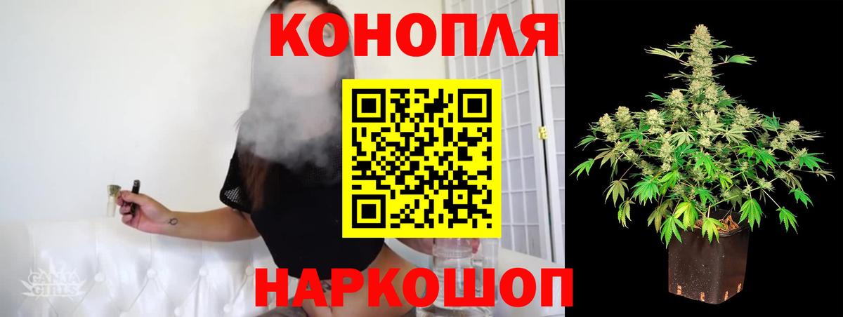 Конопля конопля Ачхой-Мартан