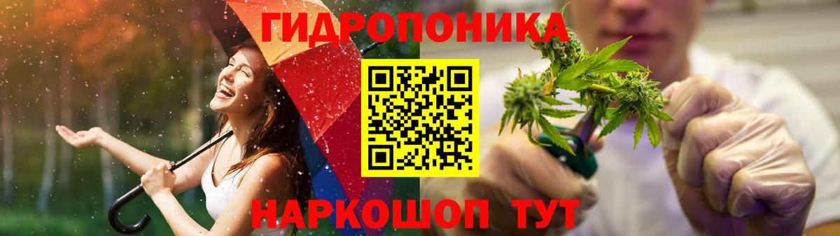 МАРИХУАНА планчик  Конопля MAZAR  Конопля AK-47  Ачхой-Мартан  Вход с VPN 